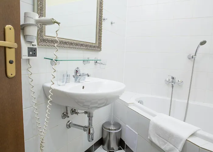 Rous 4* Плзень